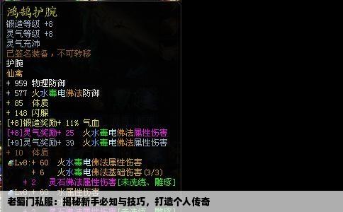 老蜀门私服：揭秘新手必知与技巧，打造个人传奇