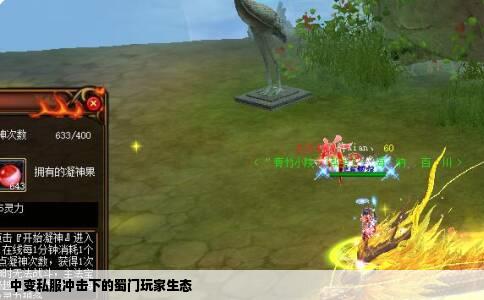 中变私服冲击下的蜀门玩家生态